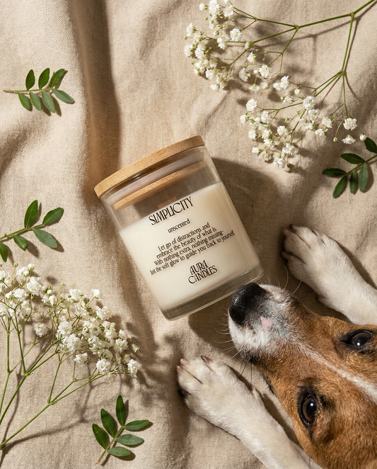 Simplicity Candle 6oz